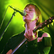 Illustration for article titled Suzanne Vega